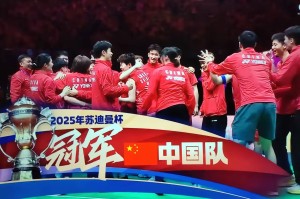 Jinnianhui-集结日足总杯焦点战，里尔战术微调，悬念犹存，阵容厚度经受考验(夏日绝句李清照)